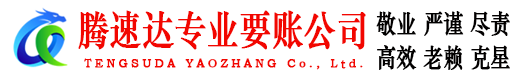 陆丰腾速达要账公司