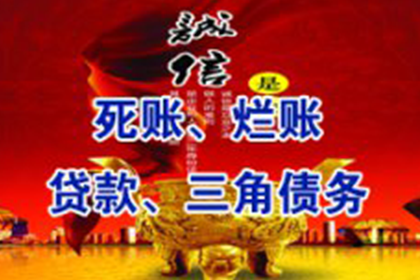 陆丰要账公司